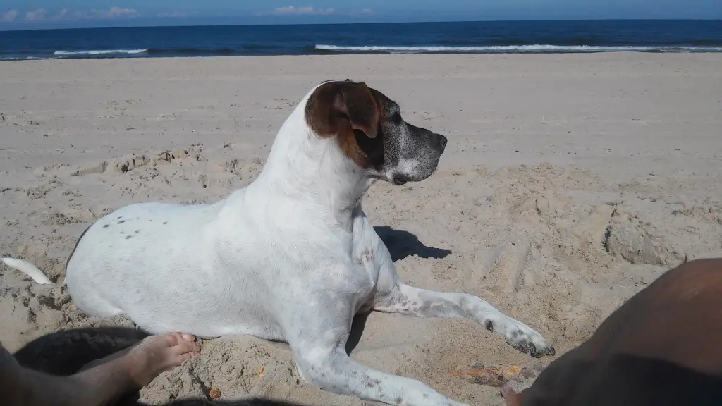 Condolence image of Gaby