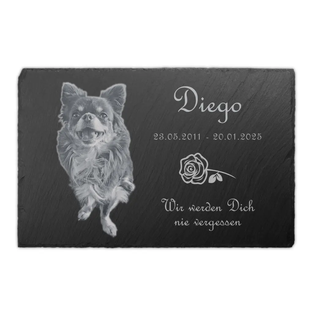 Bild von Diego