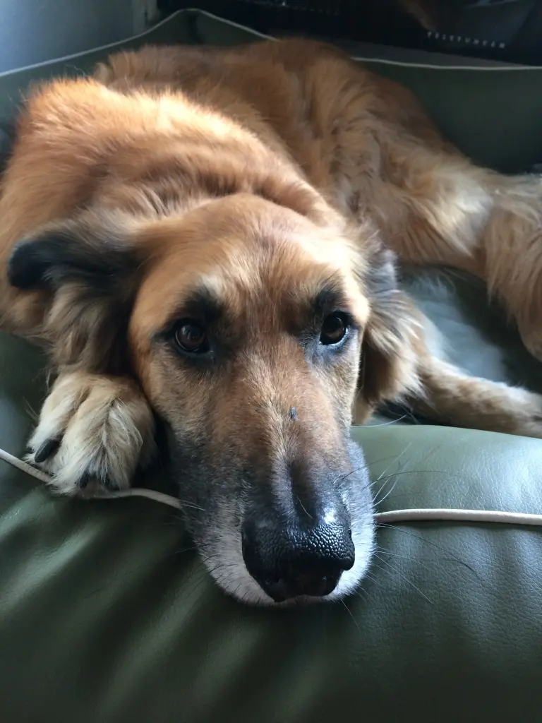 Condolence image of Melanie  Dühning 