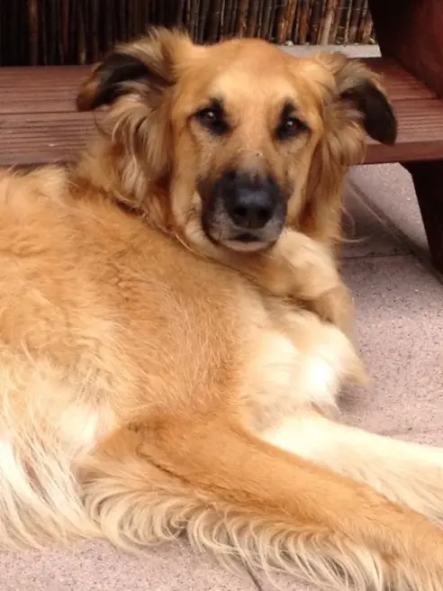 Condolence image of Melanie  Dühning