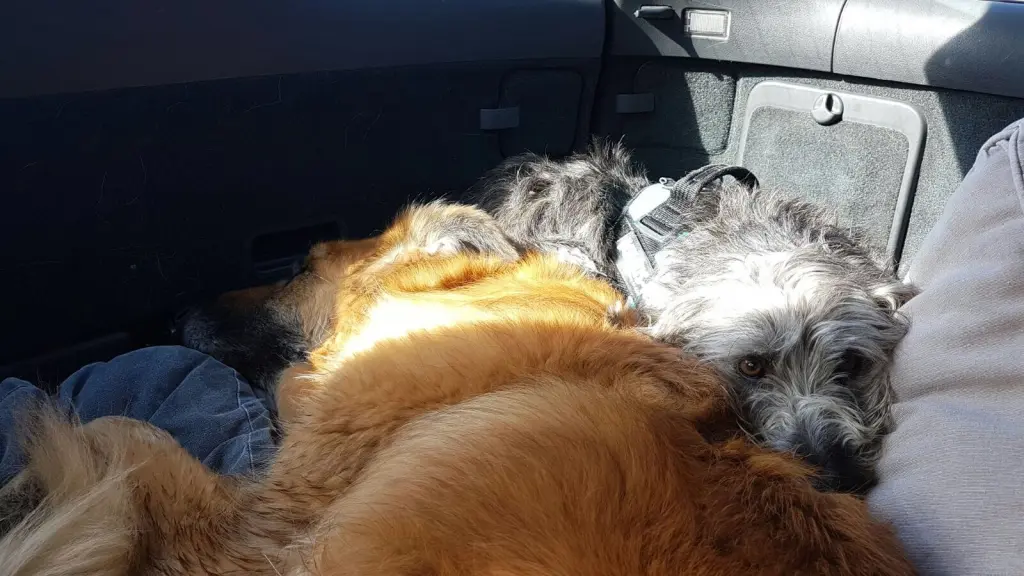 Condolence image of Melanie Dühning