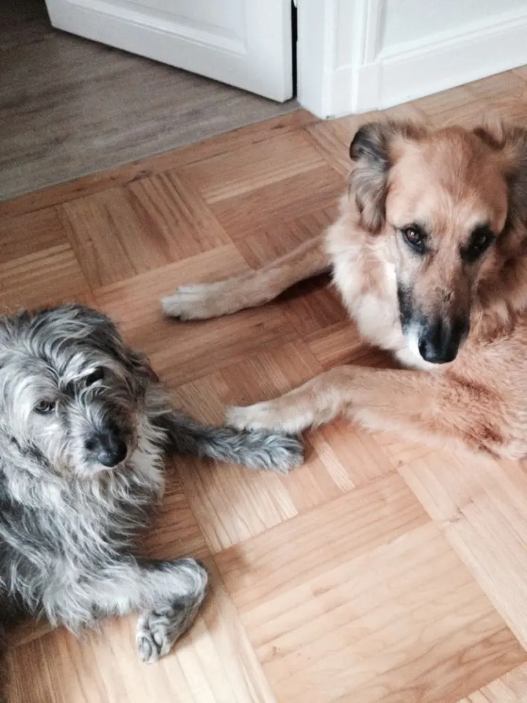 Condolence image of Melanie