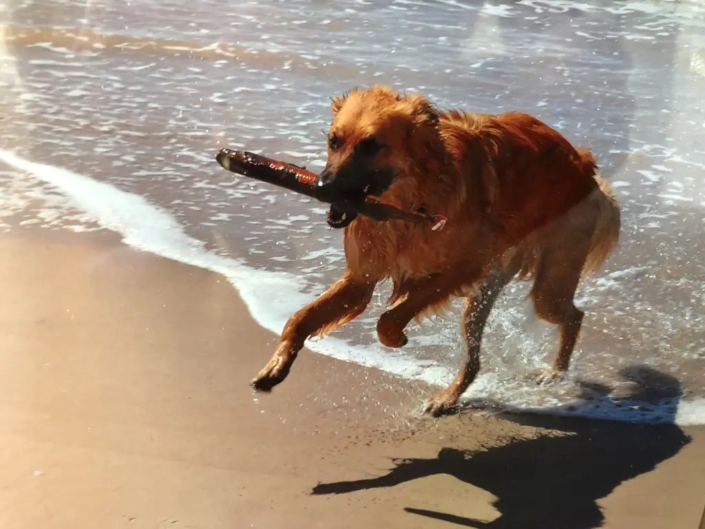 Condolence image of Melanie 