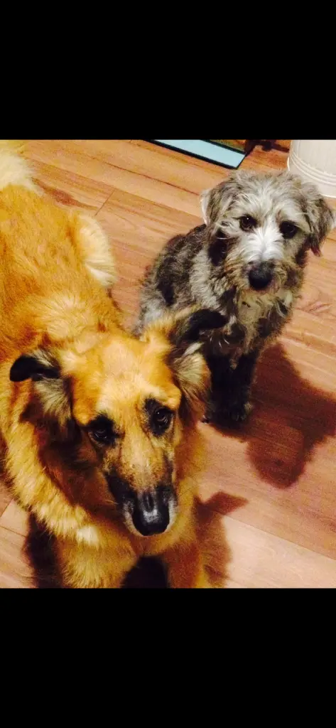 Condolence image of Melanie