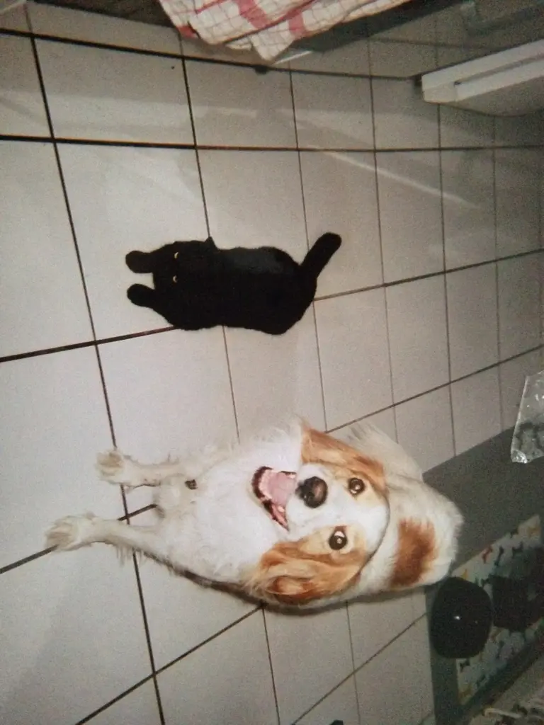 Condolence image of Tamara