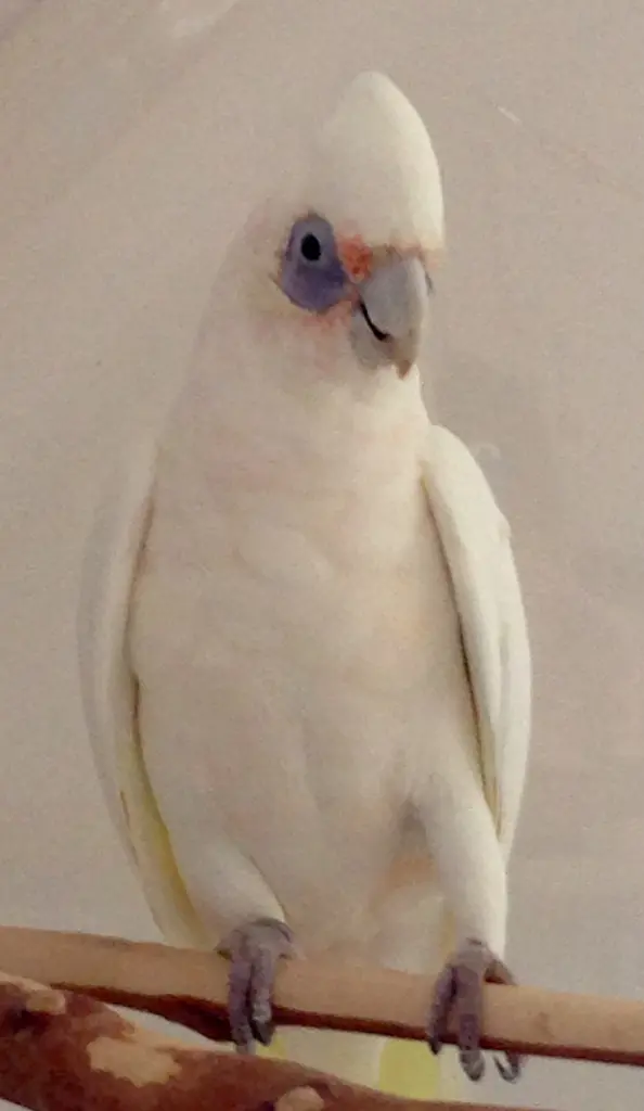 Condolence image of Andrea mit Rico im Herzen