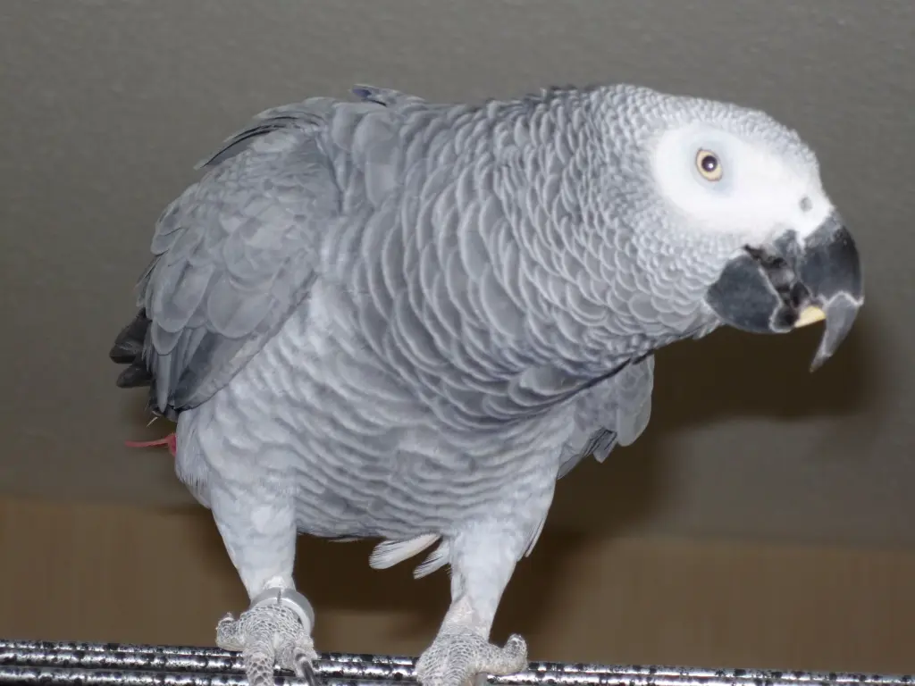 Condolence image of Jutta