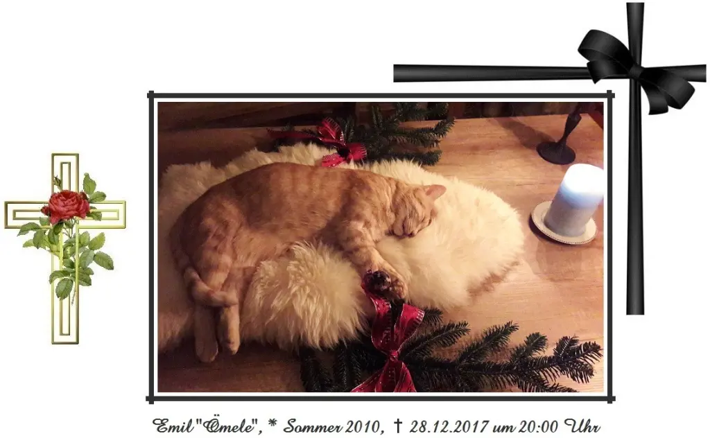 Bild von Emil "Ömele"