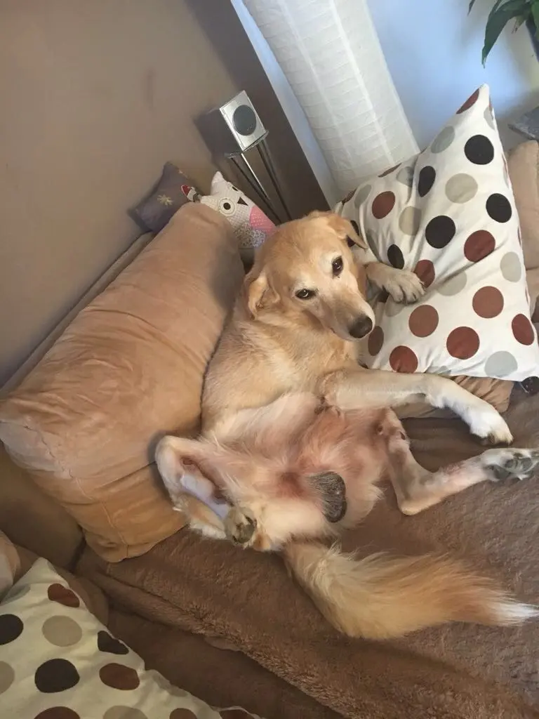 Condolence image of Nicole 