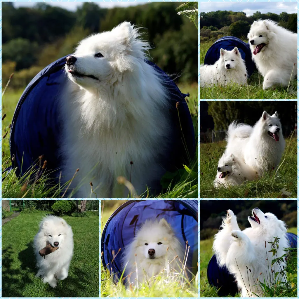 Condolence image of Angelina Pöpperl