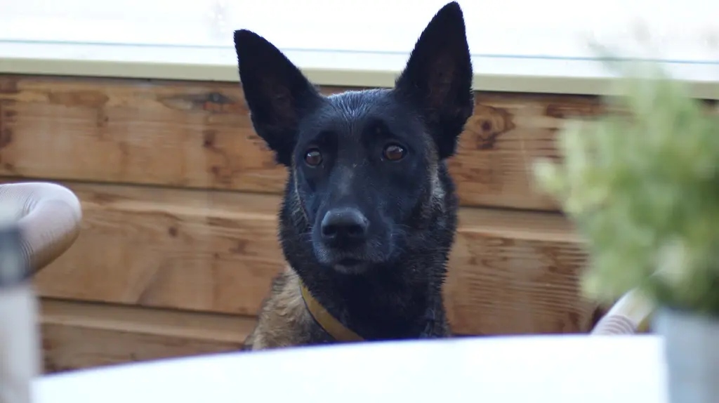 Condolence image of Nicole