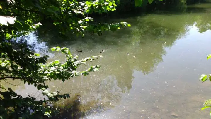 Condolence image of Erika