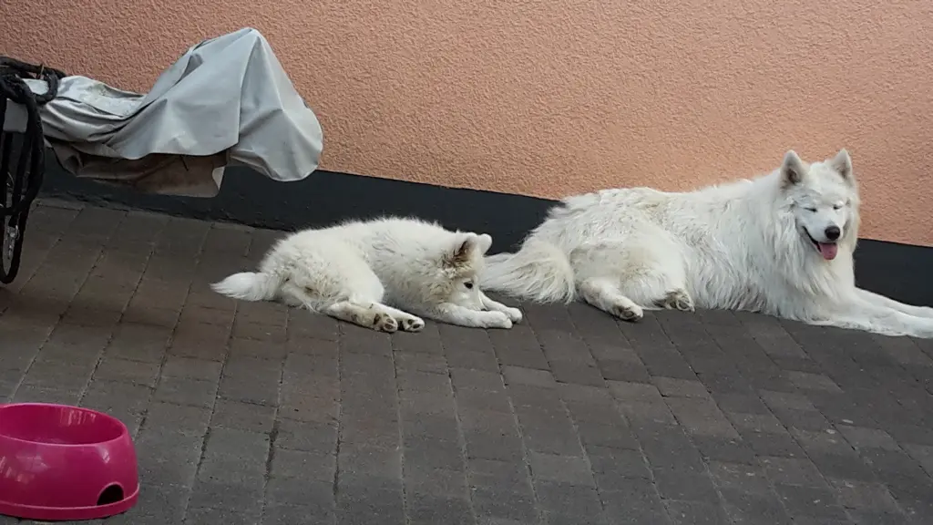 Condolence image of Doris