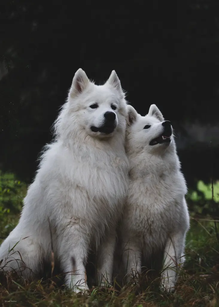 Condolence image of Doris