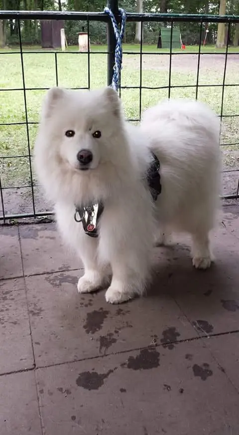 Condolence image of Doris