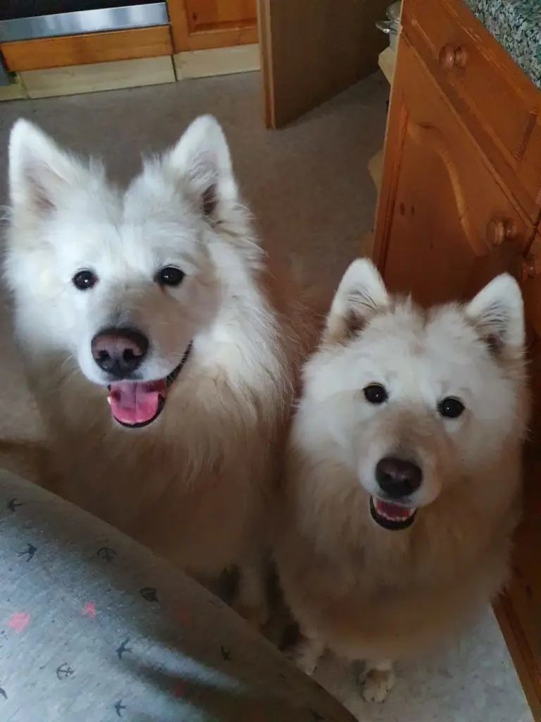 Condolence image of Doris 