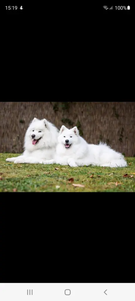 Condolence image of Doris