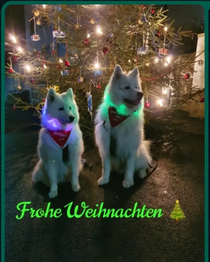 Condolence image of Doris