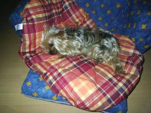 Image from Denny