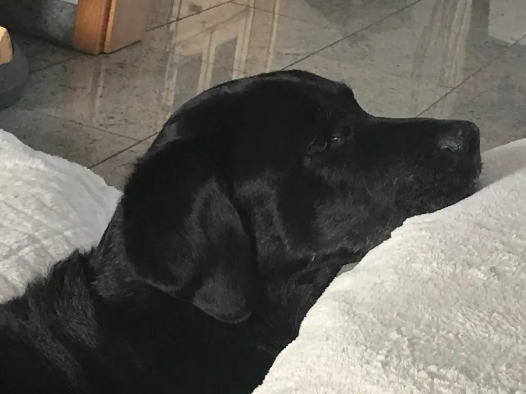 Condolence image of Heidi