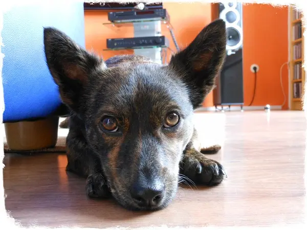 Condolence image of Unbekannt