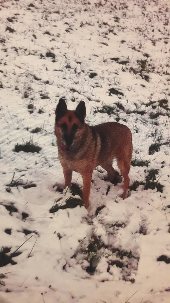 Andachtsbild von Claudia m. TARA im Herzen