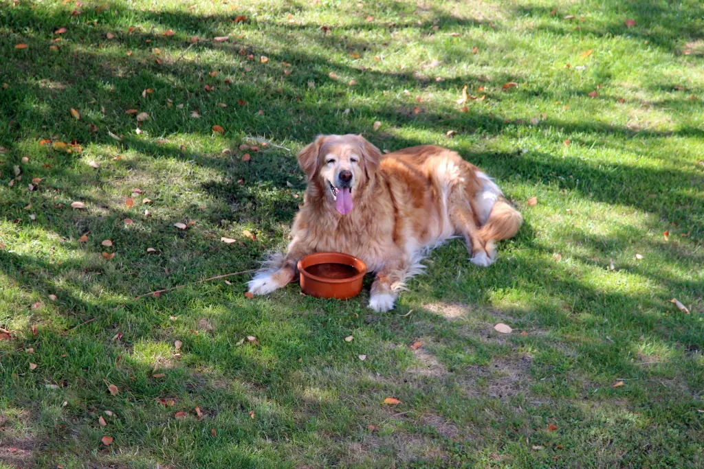 Andachtsbild von Michael mit Alesca