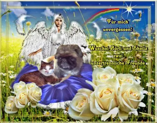 Image from meine unvergessenen Lieblinge Wuschel und Sheila