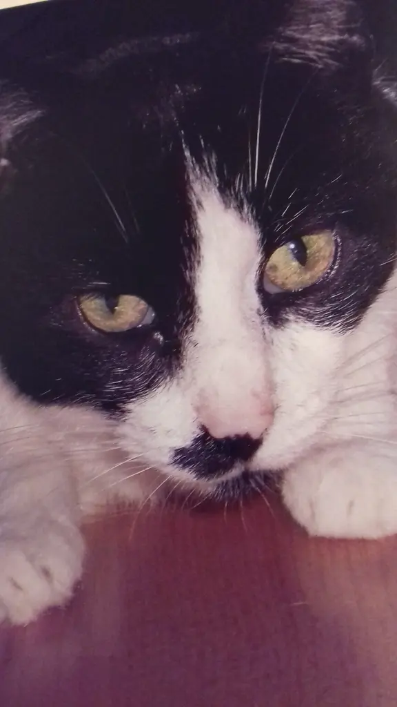 Condolence image of Jacqueline 