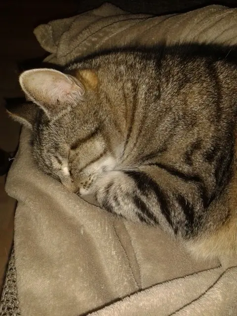 Image from Solnuschka