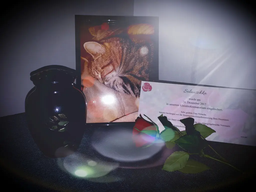 Image from Solnuschka