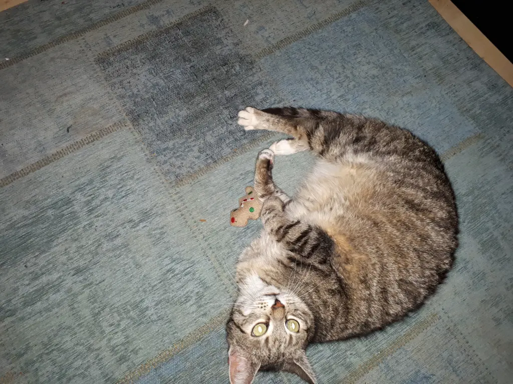 Image from Solnuschka