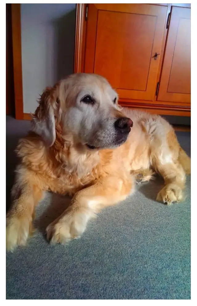 Condolence image of Greta