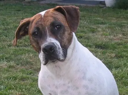 Condolence image of Guido