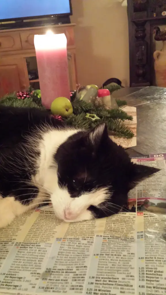 Condolence image of deiner Ilse