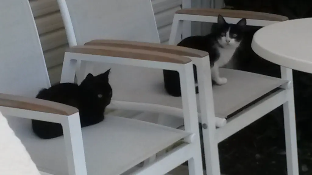 Condolence image of Anja mit Joy im Herzen ❤