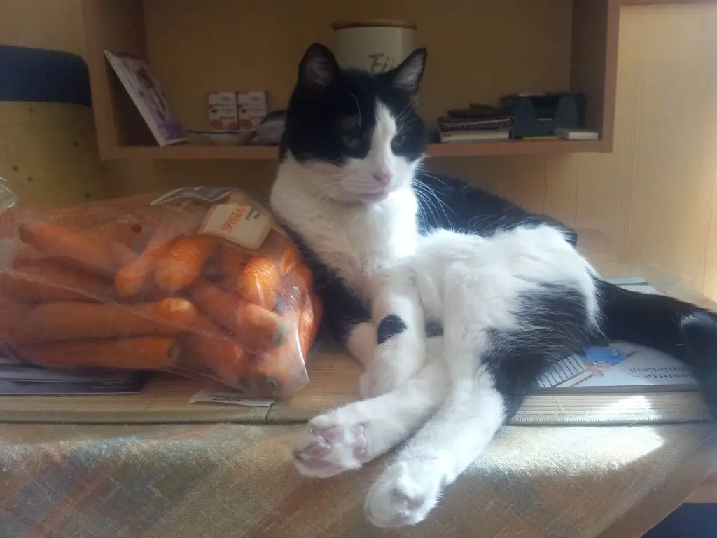 Condolence image of deiner Ilse in Liebe