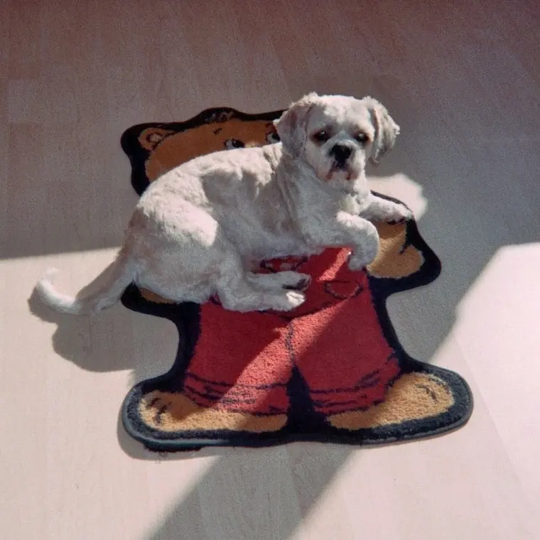 Condolence image of Marika mit Balou und Hippo im Herzen