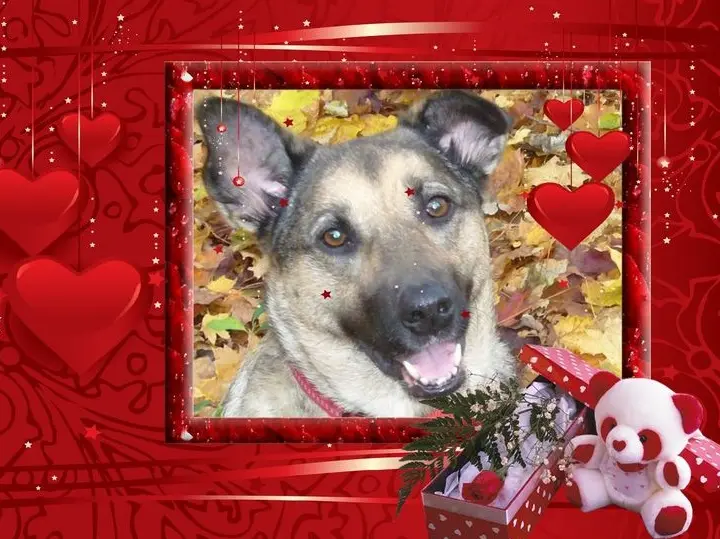 Condolence image of Unbekannt