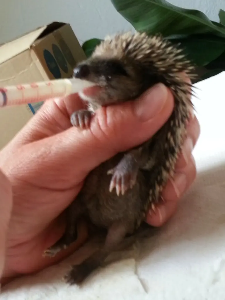 Condolence image of Unbekannt