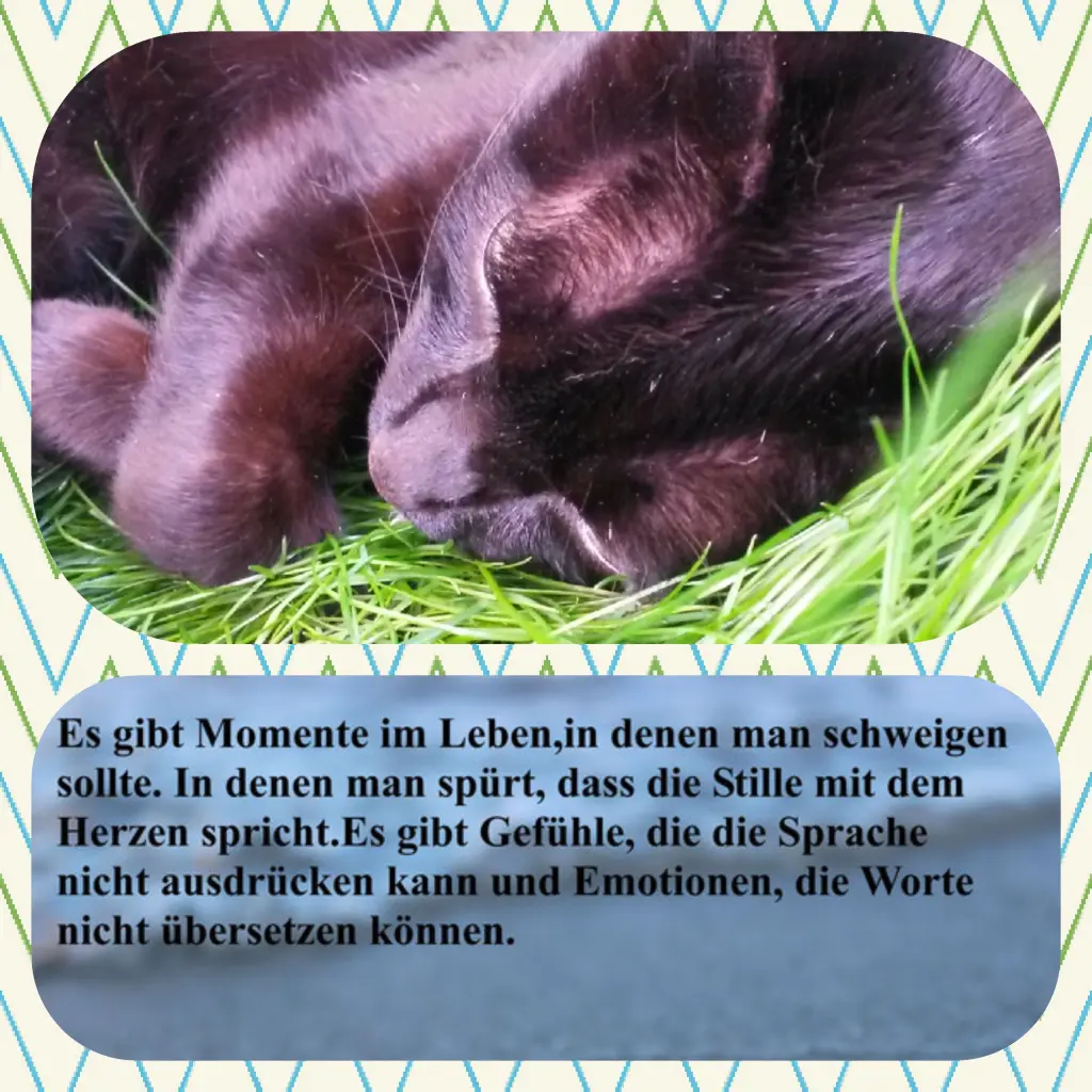 Condolence image of Anja mit Joy im Herzen ❤