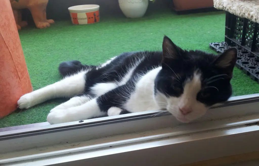 Condolence image of deiner Ilse, 20 Monate ohne Dich