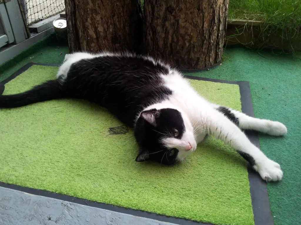 Condolence image of deiner Ilse in Liebe