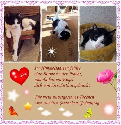 Condolence image of deiner Ilse in Liebe