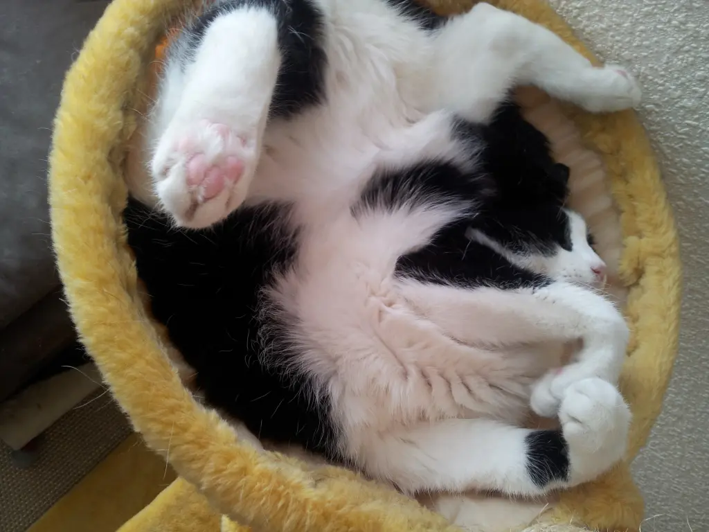 Condolence image of deiner Ilse in Liebe