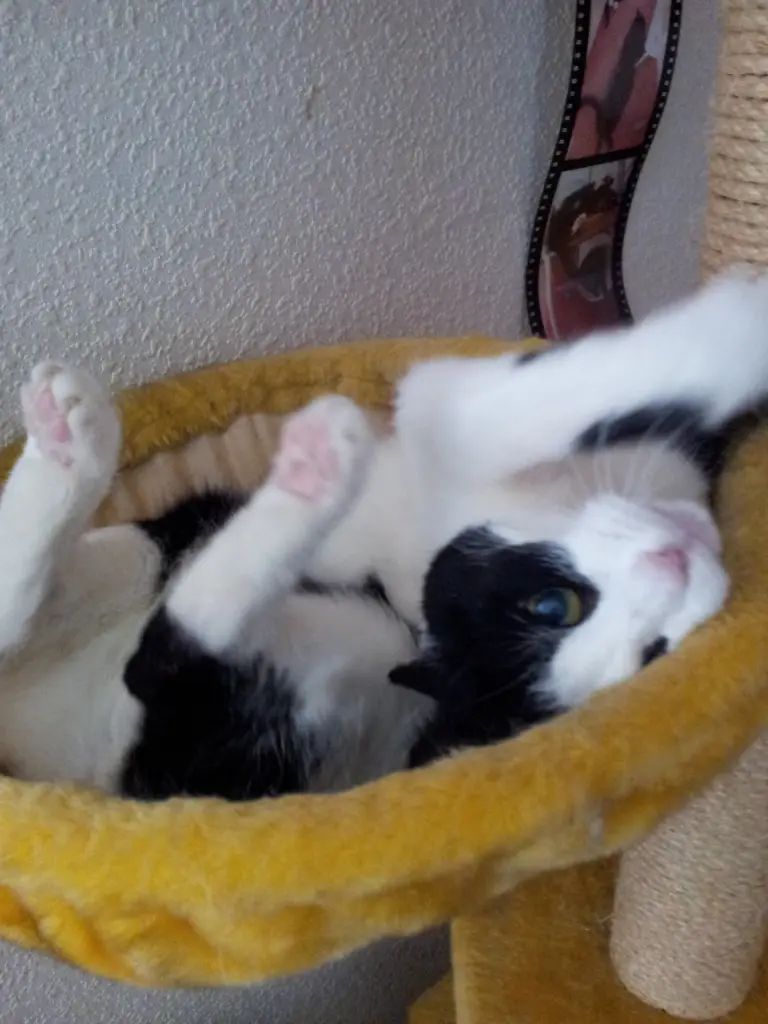 Condolence image of deiner Ilse, 27 Monate ohne dich