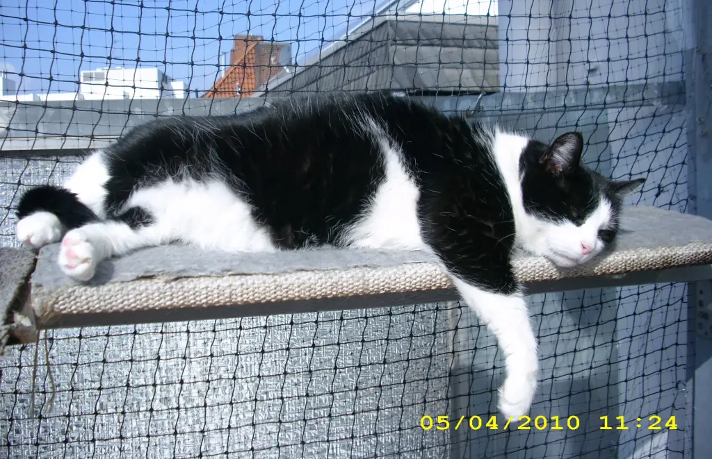 Condolence image of deiner Ilse in Liebe