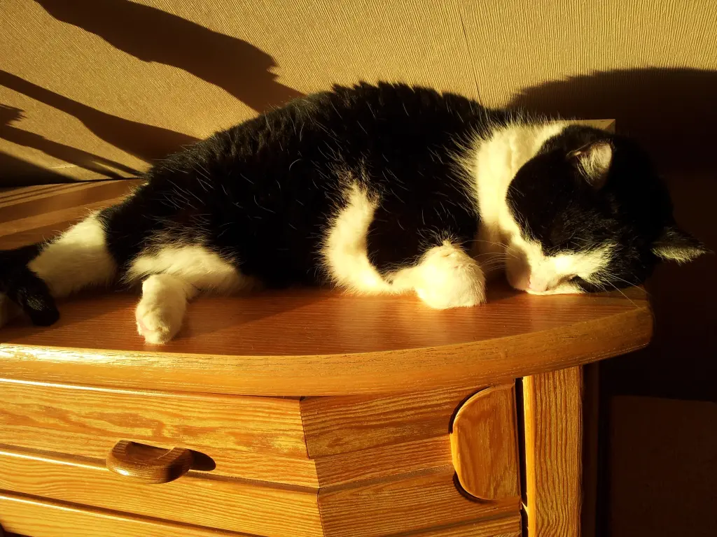 Condolence image of deiner Ilse, 2 Jahre und 5 Monate ohne dich