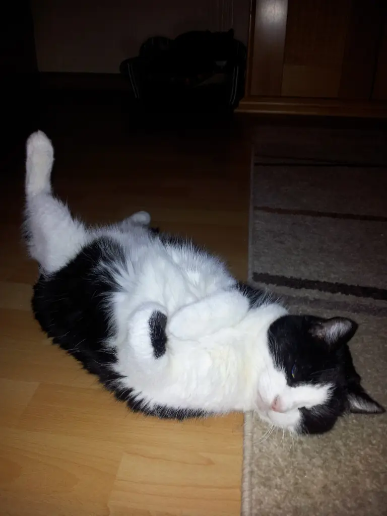 Condolence image of deiner Ilse, 2 Jahre und 6 Monate ohne dich