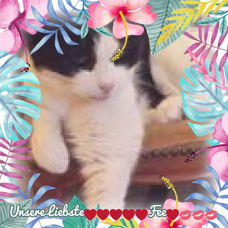 Condolence image of ❤️❤️❤️